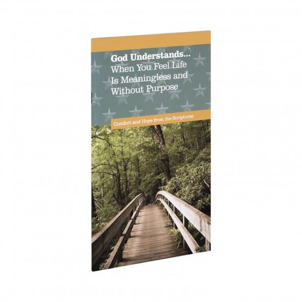 God Understands Meaningless (Large Print)