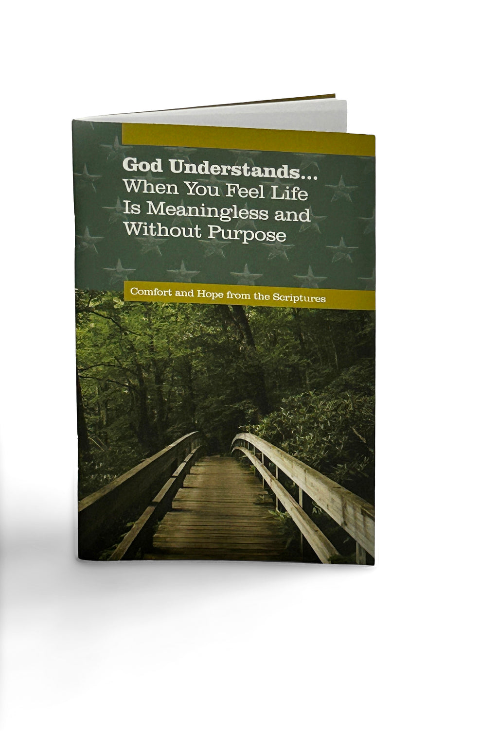 God Understands Meaningless
