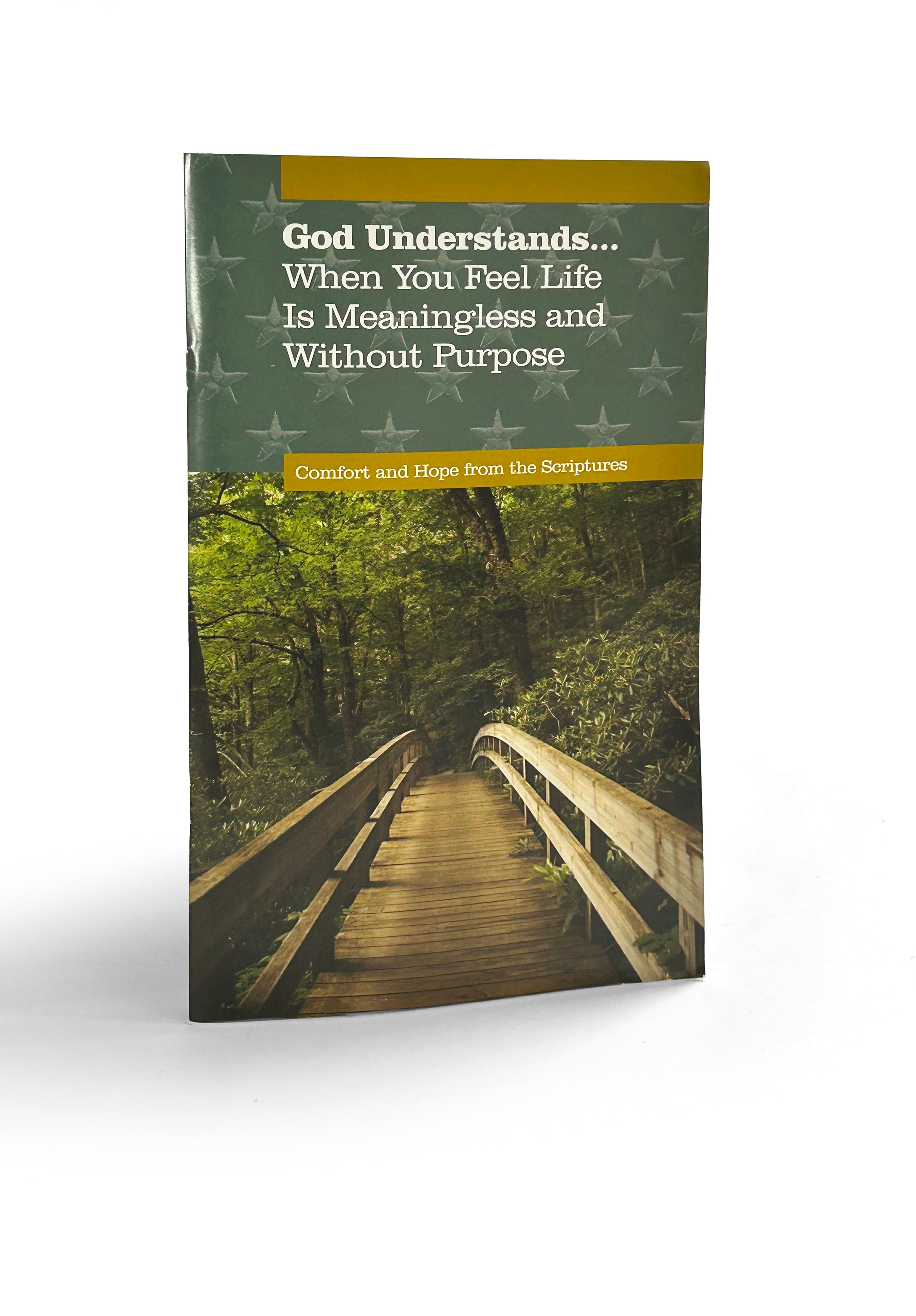 God Understands Meaningless (Large Print)