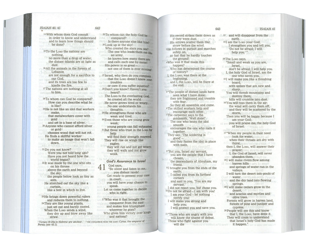 The Men's Bible
