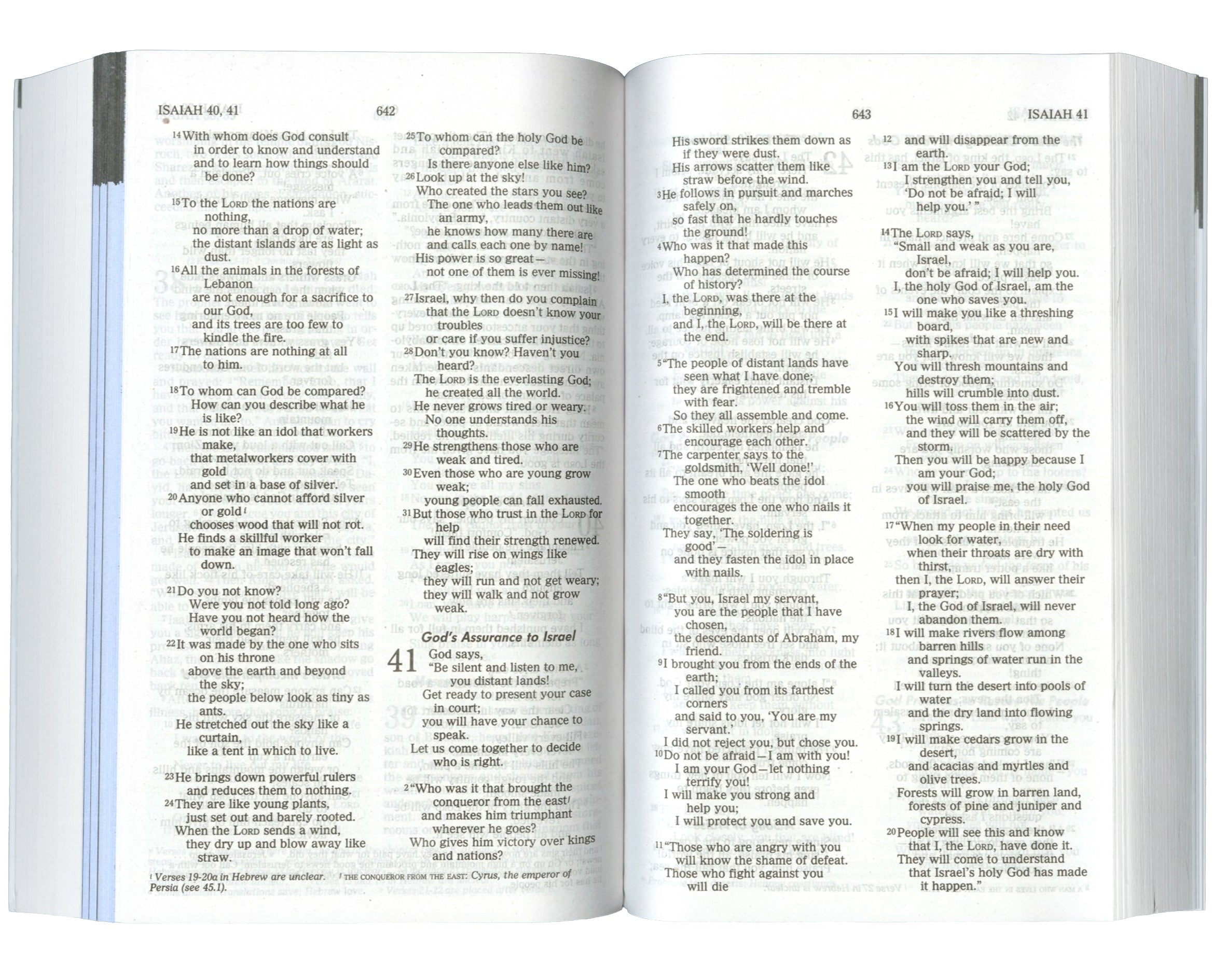 The Men's Bible