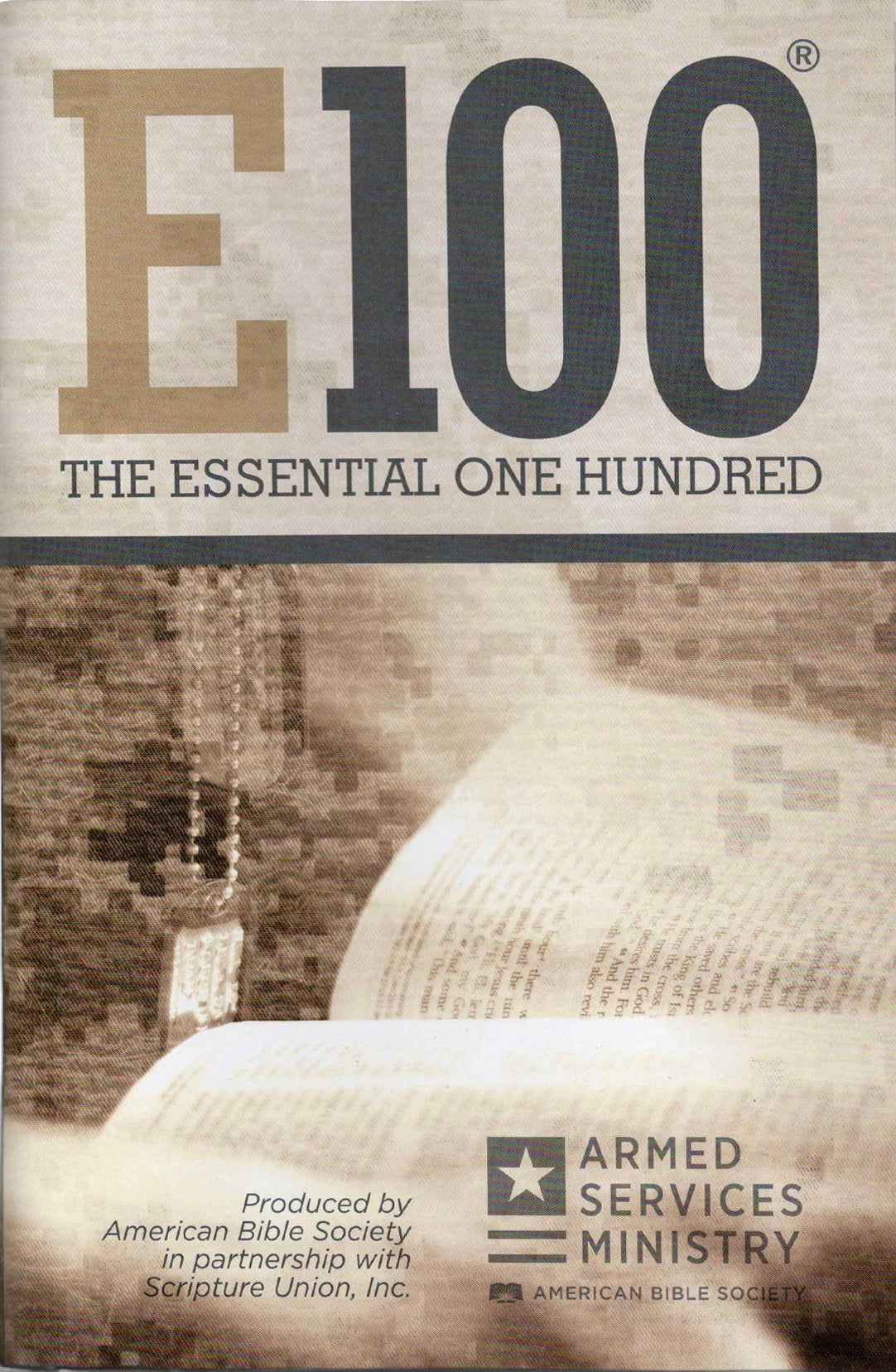 E100 Guidebook (Large Print)