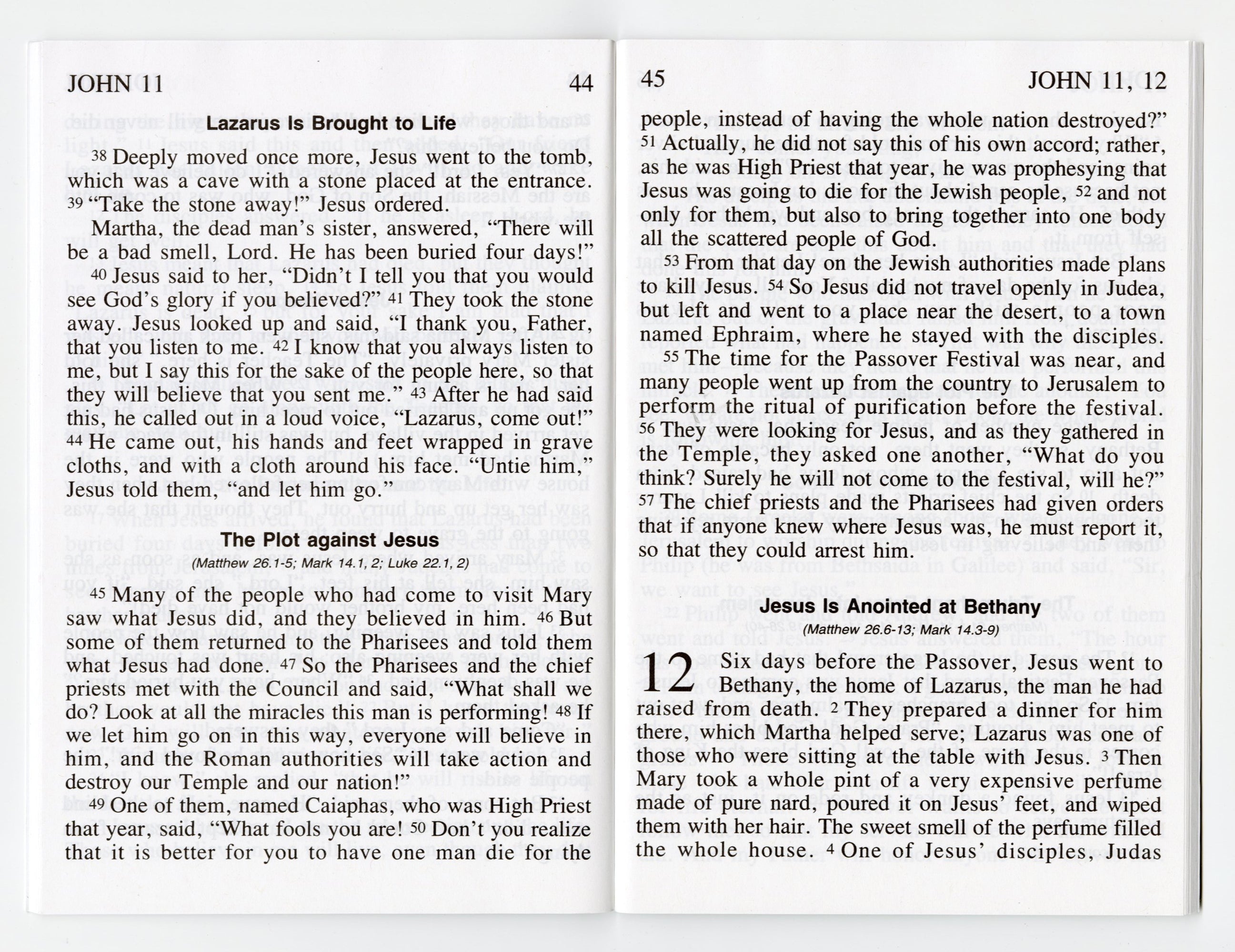 Gospel of John (GNT - Large Print)