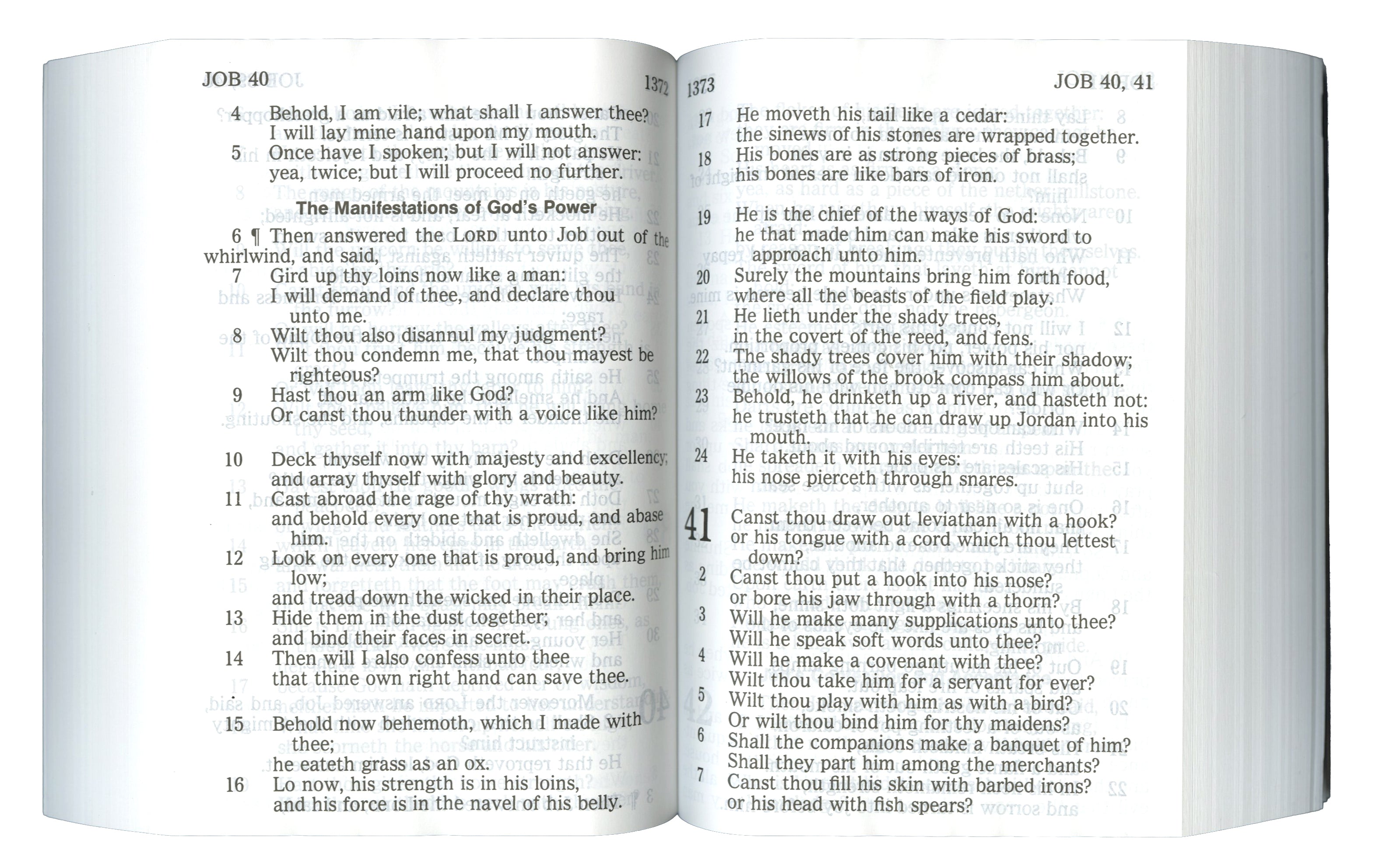 Veteran Bible - Black (Extra-Large Print)