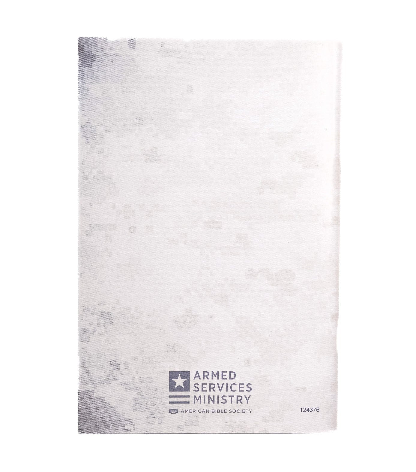 E100 Guidebook (Large Print)