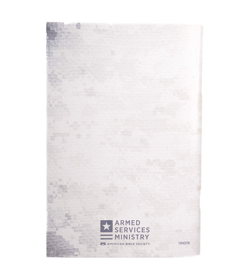 E100 Guidebook (Large Print)